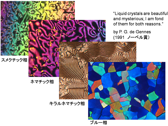 各種液晶の偏光顕微鏡写真